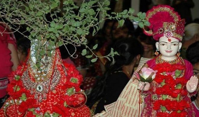 देखिए तुलसी विवाह करने का सही तरीका